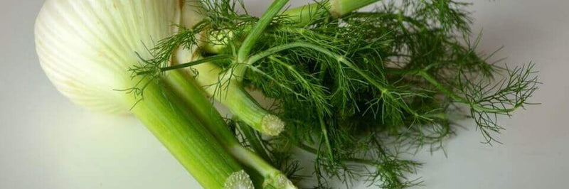 Comment émincer du fenouil ?