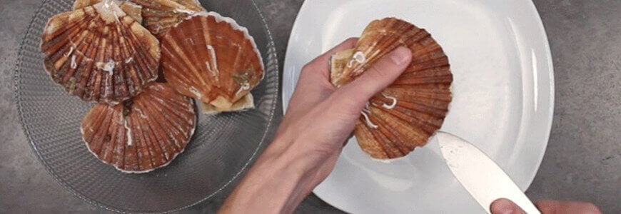 Comment ouvrir et nettoyer une coquille St-Jacques ?
