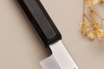 Couteau yanagiba kiritsuke 27cm japonais artisanal Sakai Takayuki Ginsankou