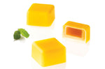Moule en silicone et tritan professionnel Silikomart 24 pralines avec insert