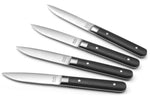 Coffret de 4 couteaux à steak Fusion Amefa