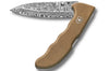 Couteau pliant Victorinox Evoke Wood Damast Édition limitée 2026