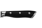 Bloc Sabatier International Oslo en bois + 4 couteaux Hercules