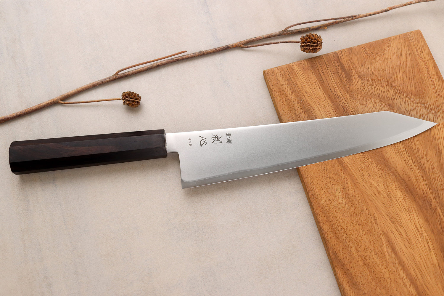 Couteau de chef gyuto kiritsuke 24cm japonais artisanal Hatsukokoro Kaijin BS2 ébène