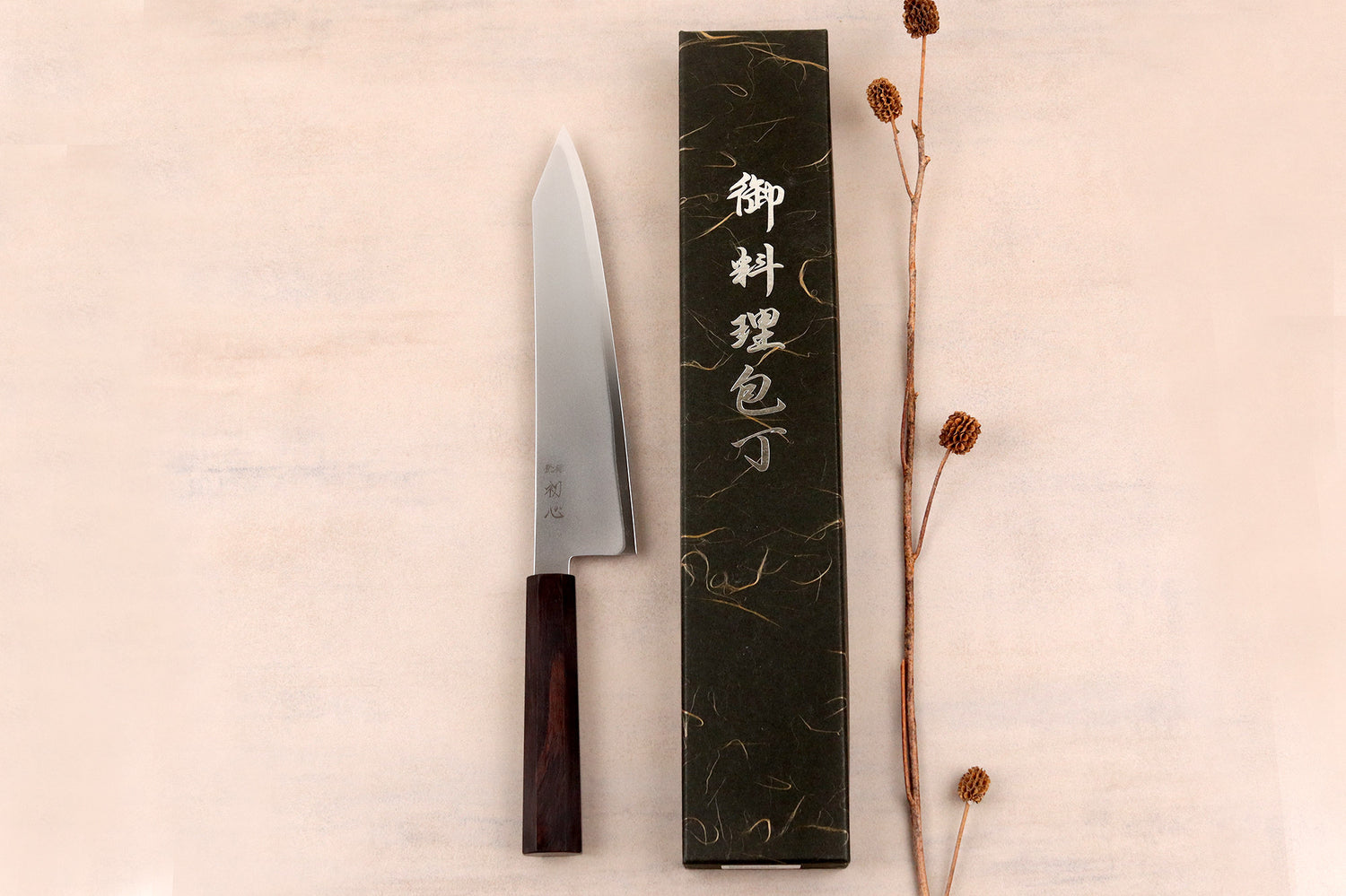 Couteau de chef gyuto kiritsuke 24cm japonais artisanal Hatsukokoro Kaijin BS2 ébène