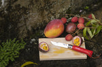 Couteau Opinel Baroudeur n°08 lame 8,5cm manche rouge