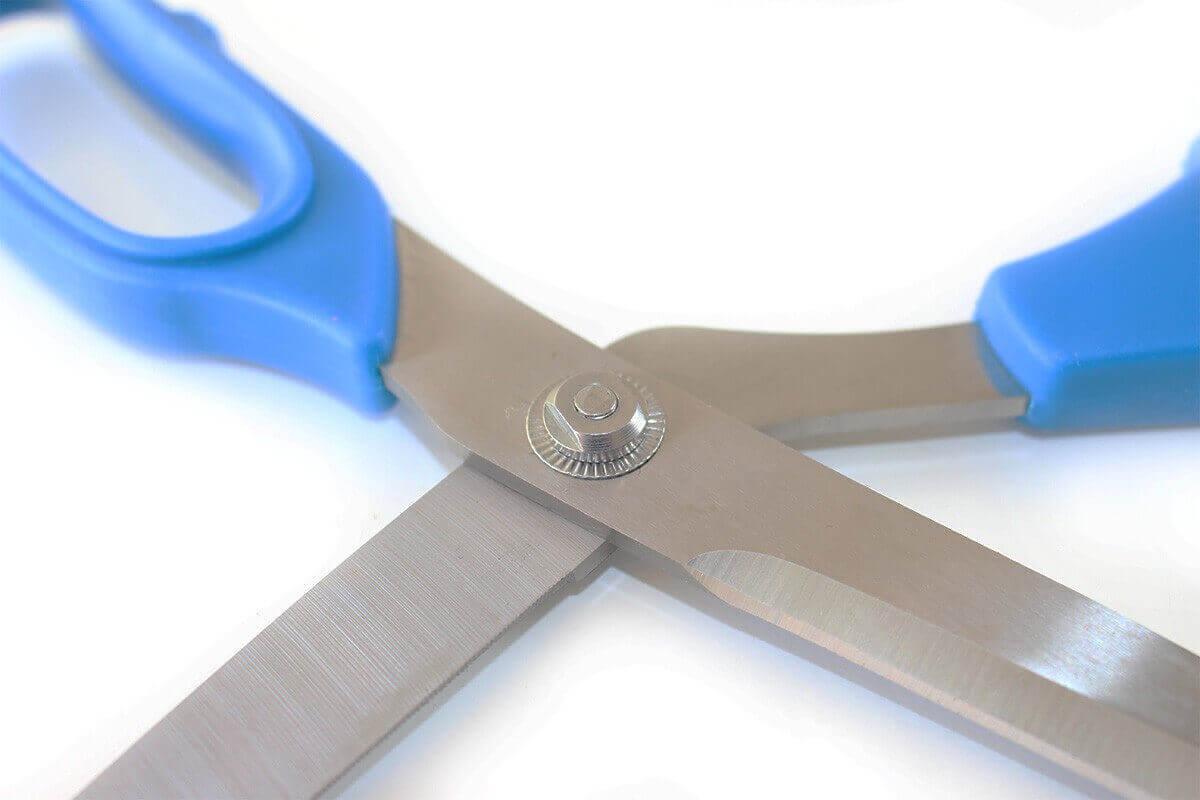 Ciseaux à poisson Bargoin 27,5cm lame crantée inox manche bleu