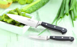 Couteau de chef Sabatier International Pluton 20cm manche 3 rivets