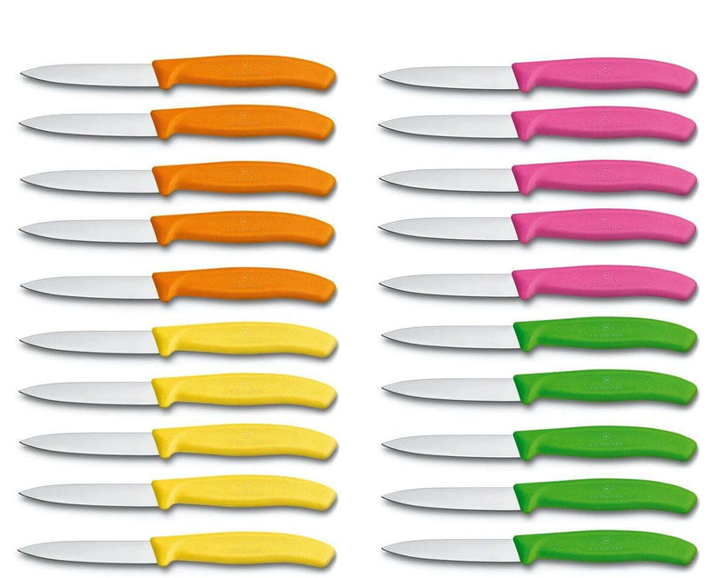 Boite de 20 couteaux d'office Victorinox SwissClassic multicolores lames droites 8cm