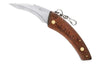 Couteau à champignon Maserin 12cm + brosse intégrée
