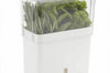 Conservateur Cole & Mason pour herbes fraiches coupées