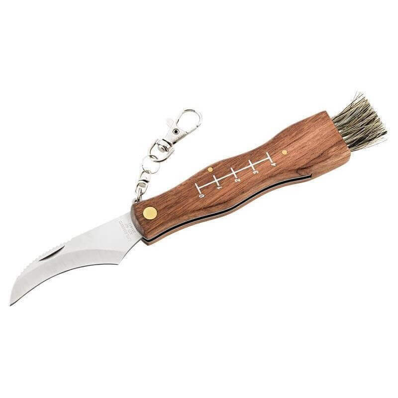 Couteau à champignon Herbertz 251411 inox manche bois 11cm + brosse