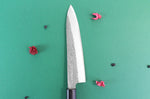 Couteau de chef japonais artisanal Wusaki Nakata BS2 21cm manche en noyer