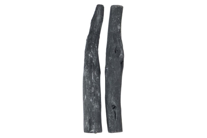Lot de 2 charbons Yoko Design purificateurs d'eau