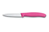 Couteau d'office Victorinox Swissclassic rose lame droite 8cm