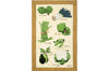Torchon de cuisine Beauvillé Légumes Verts fabriqué en France 50x80cm