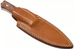 Couteau LionSteel B40.ST lame 10,3cm manche en bois de santal + étui en cuir