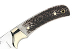 Couteau Muela Setter 9266 lame 11cm en inox manche en bois de cerf + étui en cuir