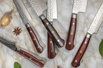 Couteau à pain Fukito Rosewood Damas 67 couches 21cm