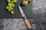 Coffret 2 couteaux Fukito Pakka San Mai Chef + Office