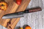 Coffret 2 couteaux Sayuto Séquoia San Mai Santoku + Office