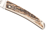 Couteau pliant Salamandra manche corne de cerf 9cm avec passe-lanière
