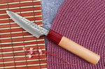 Couteau d'office japonais artisanal Tsunehisa Aogami Super martelé 8cm