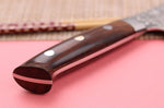 Couteau de chef japonais Takeshi Saji R2 Damas Mosaïque 18cm